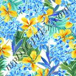Colour:K