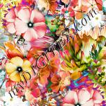 Colour:A