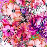 Colour:B