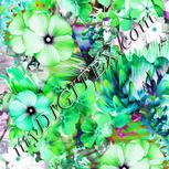 Colour:C