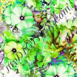Colour:D