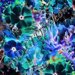 Colour:F