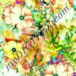 Colour:K