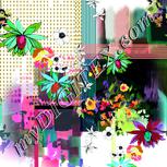 Colour:B