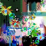 Colour:F