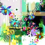 Colour:K