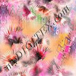 Colour:B