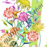Colour:A