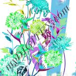 Colour:C