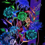 Colour:F