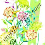 Colour:K
