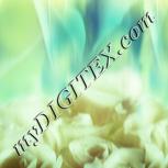 Colour:K