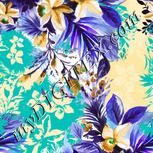 Colour:C