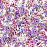 Colour:A