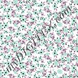 Colour:B