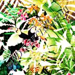 Colour:J