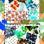 Colour:F