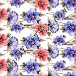 Colour:A