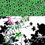 Colour:A
