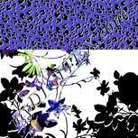 Colour:C