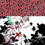 Colour:D