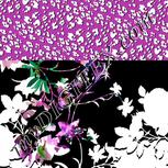 Colour:F