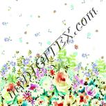 Colour:K