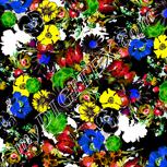 Colour:F
