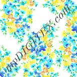 Colour:K