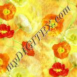 Colour:K