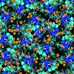 Colour:F