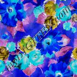 Colour:F