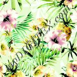 Colour:K