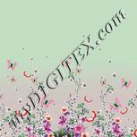 Colour:B