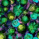 Colour:F