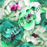 Colour:B