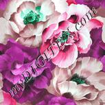 Colour:C
