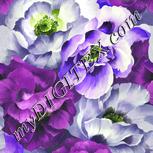 Colour:D