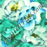 Colour:K