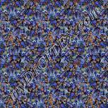 Colour:F