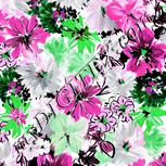 Colour:B