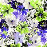 Colour:D