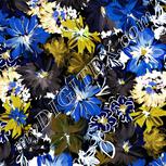 Colour:F