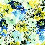 Colour:K