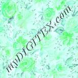 Colour:C