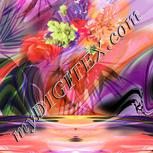 Colour:B