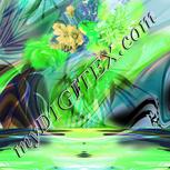 Colour:C