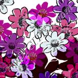 Colour:C