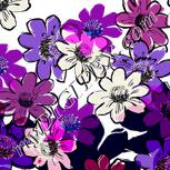 Colour:D