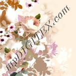 Colour:A